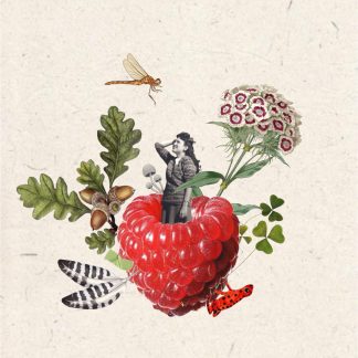 Print - Wilberry